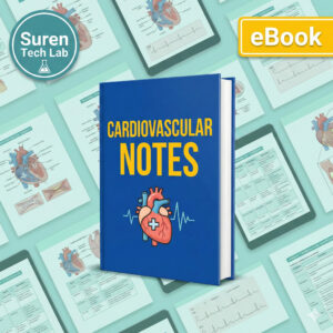 Cardiovascular System Notes, Cardiology Heart Anatomy Study Guide (Digital Download)