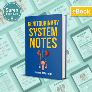 Genitourinary System Notes: Urology, Male Reproductive Anatomy Study Guide (Digital Download)