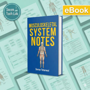 Musculoskeletal System Notes: Anatomy and Physiology Study Guide for Med Students | Nursing Study | eBook