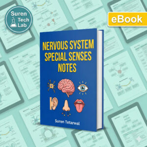 Nervous System and Special Senses Anatomy Study Guide: Comprehensive Neurology Nursing Notes | Digital Download