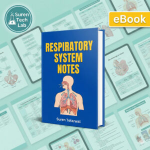 Respiratory System Study Guide: Anatomy Physiology Notes with Diagrams (Digital Download)